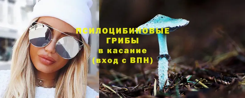 наркошоп  Коркино  Псилоцибиновые грибы Magic Shrooms 